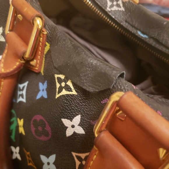 SOLD LOUIS VUITTON Multicolor Speedy Bag Authentic - Picture 9 of 14